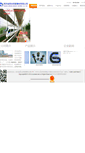 Mobile Screenshot of js-jinstar.com